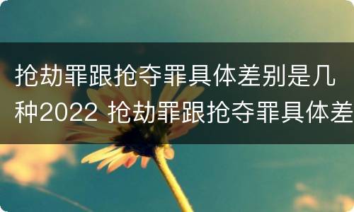 抢劫罪跟抢夺罪具体差别是几种2022 抢劫罪跟抢夺罪具体差别是几种2022年的