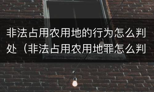 非法占用农用地的行为怎么判处（非法占用农用地罪怎么判）