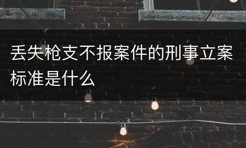 丢失枪支不报案件的刑事立案标准是什么
