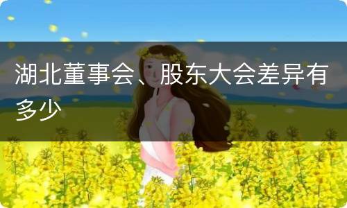 湖北董事会、股东大会差异有多少