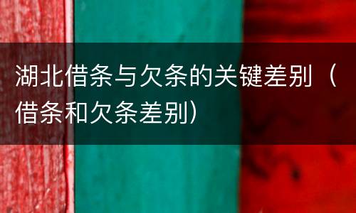 湖北借条与欠条的关键差别（借条和欠条差别）