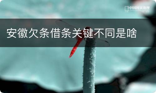 安徽欠条借条关键不同是啥