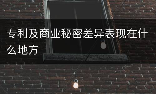 专利及商业秘密差异表现在什么地方