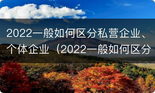 2022一般如何区分私营企业、个体企业（2022一般如何区分私营企业,个体企业）