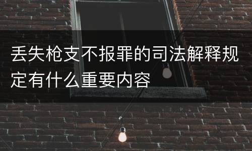 丢失枪支不报罪的司法解释规定有什么重要内容