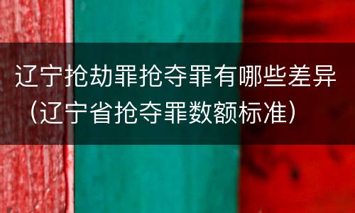 辽宁抢劫罪抢夺罪有哪些差异（辽宁省抢夺罪数额标准）