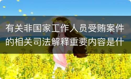 有关非国家工作人员受贿案件的相关司法解释重要内容是什么