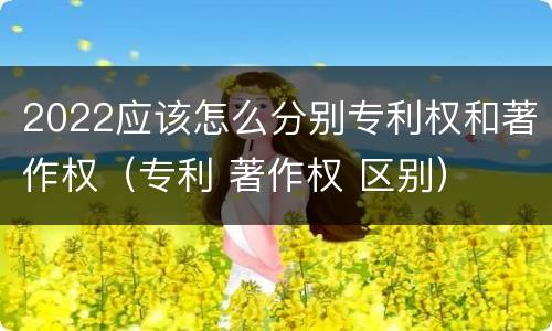 2022应该怎么分别专利权和著作权（专利 著作权 区别）
