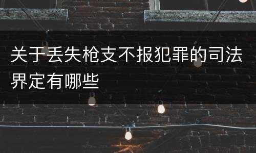 关于丢失枪支不报犯罪的司法界定有哪些