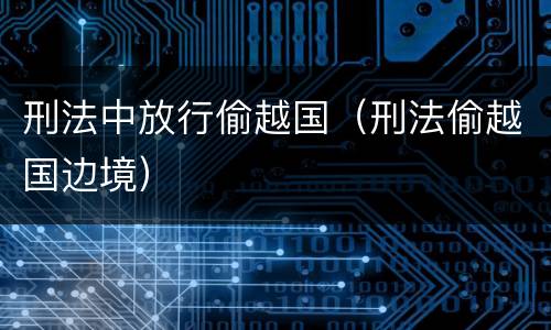 刑法中放行偷越国（刑法偷越国边境）