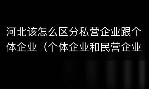 河北该怎么区分私营企业跟个体企业（个体企业和民营企业的区别）