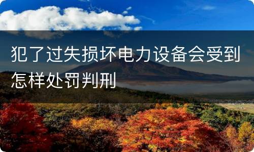 犯了过失损坏电力设备会受到怎样处罚判刑