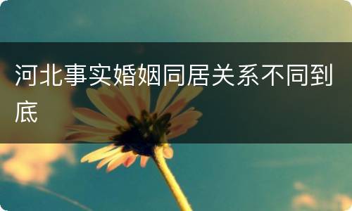 河北事实婚姻同居关系不同到底