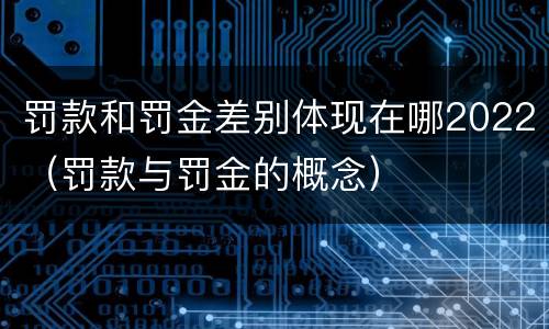 罚款和罚金差别体现在哪2022（罚款与罚金的概念）