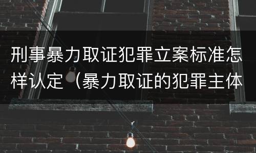 刑事暴力取证犯罪立案标准怎样认定（暴力取证的犯罪主体）