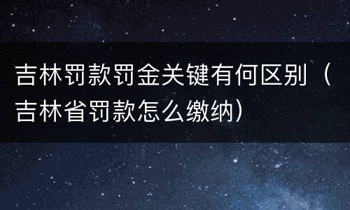 吉林罚款罚金关键有何区别（吉林省罚款怎么缴纳）