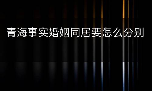 青海事实婚姻同居要怎么分别