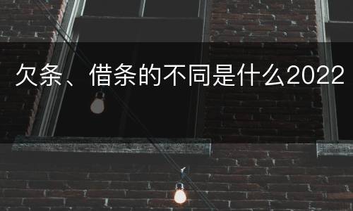 欠条、借条的不同是什么2022