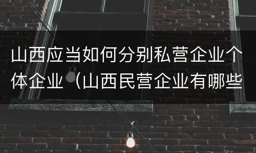 山西应当如何分别私营企业个体企业（山西民营企业有哪些）