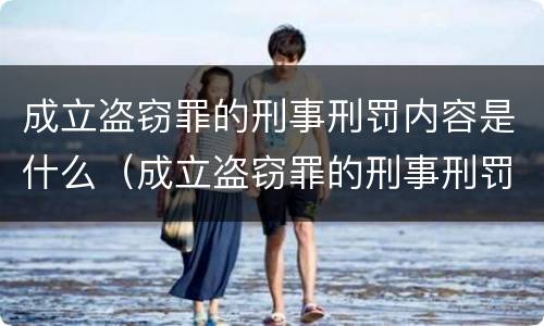 成立盗窃罪的刑事刑罚内容是什么（成立盗窃罪的刑事刑罚内容是什么意思）
