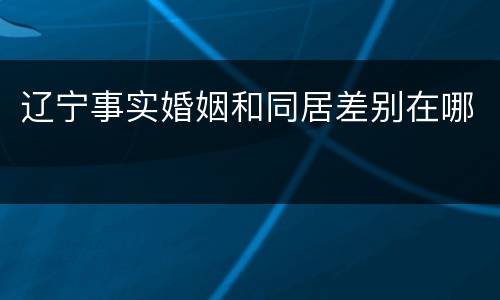 辽宁事实婚姻和同居差别在哪