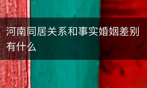 河南同居关系和事实婚姻差别有什么