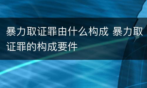 暴力取证罪由什么构成 暴力取证罪的构成要件