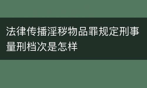 法律传播淫秽物品罪规定刑事量刑档次是怎样