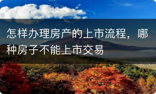 怎样办理房产的上市流程，哪种房子不能上市交易