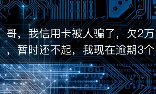 哥，我信用卡被人骗了，欠2万，暂时还不起，我现在逾期3个月了？我会不会坐牢。