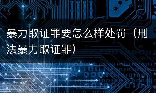 暴力取证罪要怎么样处罚（刑法暴力取证罪）