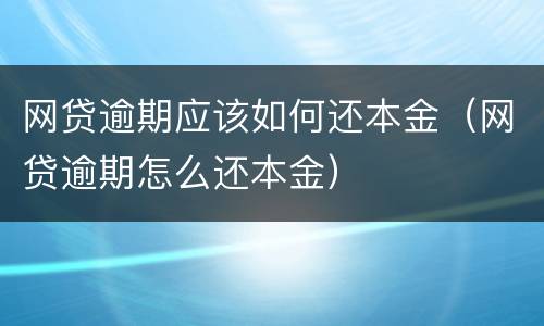 网贷逾期应该如何还本金（网贷逾期怎么还本金）