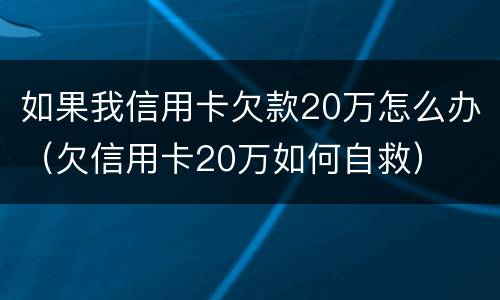 如果我信用卡欠款20万怎么办（欠信用卡20万如何自救）