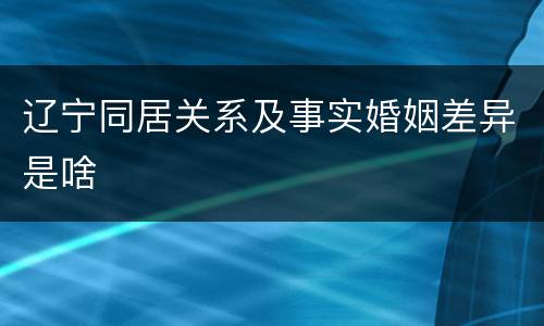 辽宁同居关系及事实婚姻差异是啥