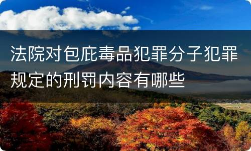法院对包庇毒品犯罪分子犯罪规定的刑罚内容有哪些