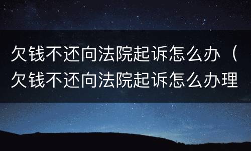 欠钱不还向法院起诉怎么办（欠钱不还向法院起诉怎么办理）