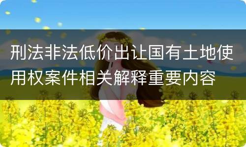 刑法非法低价出让国有土地使用权案件相关解释重要内容