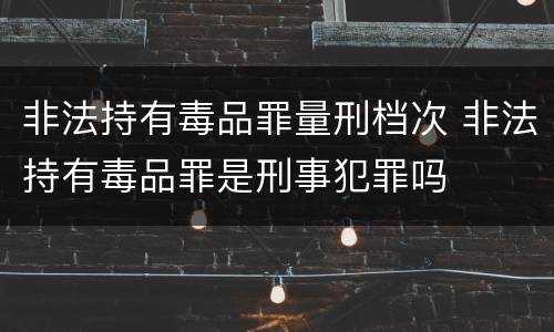 非法持有毒品罪量刑档次 非法持有毒品罪是刑事犯罪吗