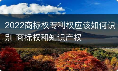 2022商标权专利权应该如何识别 商标权和知识产权
