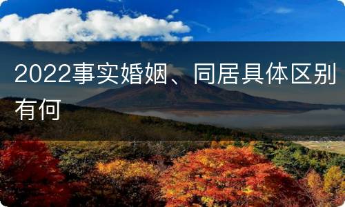2022事实婚姻、同居具体区别有何
