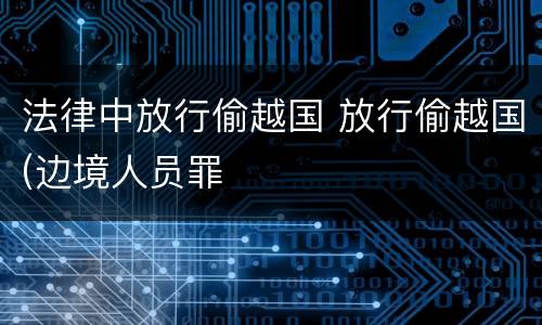 法律中放行偷越国 放行偷越国(边境人员罪