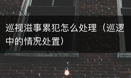 巡视滋事累犯怎么处理（巡逻中的情况处置）
