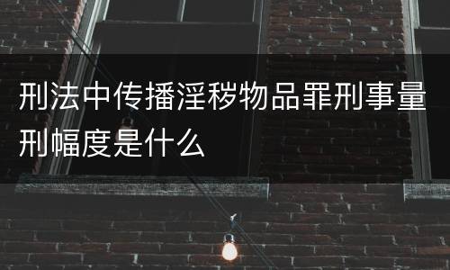 刑法中传播淫秽物品罪刑事量刑幅度是什么