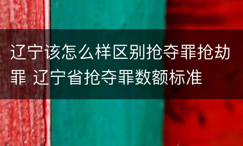 辽宁该怎么样区别抢夺罪抢劫罪 辽宁省抢夺罪数额标准