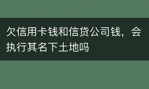 欠信用卡钱和信贷公司钱，会执行其名下土地吗