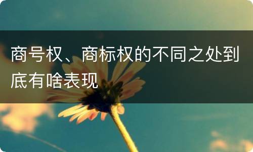 商号权、商标权的不同之处到底有啥表现