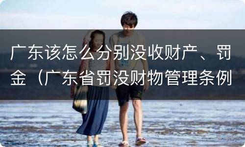 广东该怎么分别没收财产、罚金（广东省罚没财物管理条例）