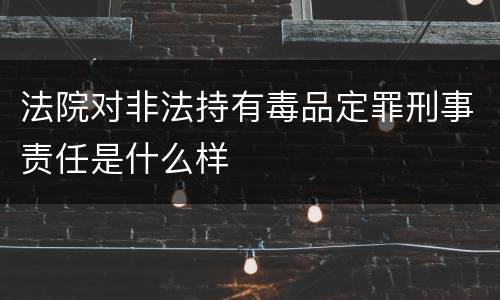 法院对非法持有毒品定罪刑事责任是什么样