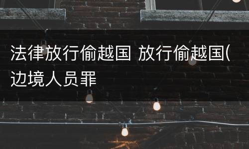 法律放行偷越国 放行偷越国(边境人员罪
