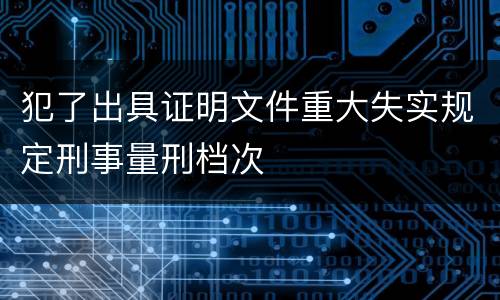 犯了出具证明文件重大失实规定刑事量刑档次